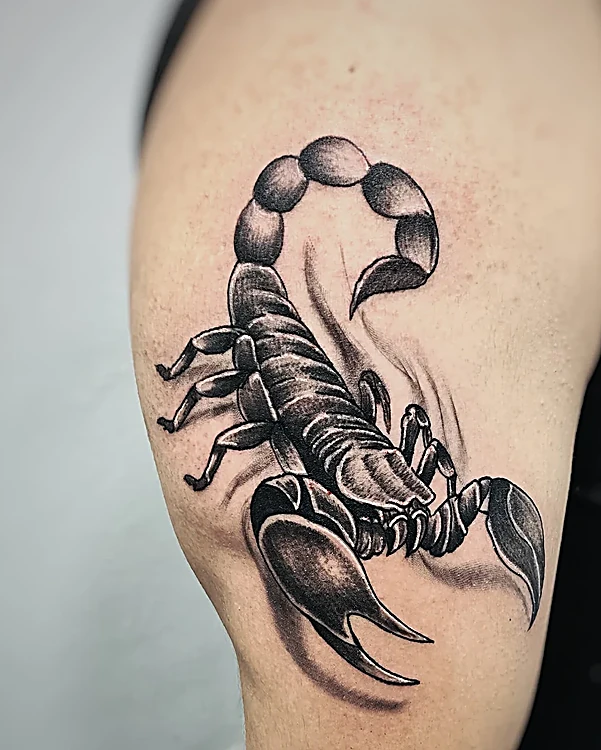 Alacrán con la cola en alto, en negro y gris con sombra, tatuado en la parte alta del brazo